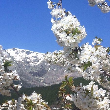 El Llano - El Hornillo, Tu Pueblo En La Sierra De Gredos.ヴィラ エクステリア 写真