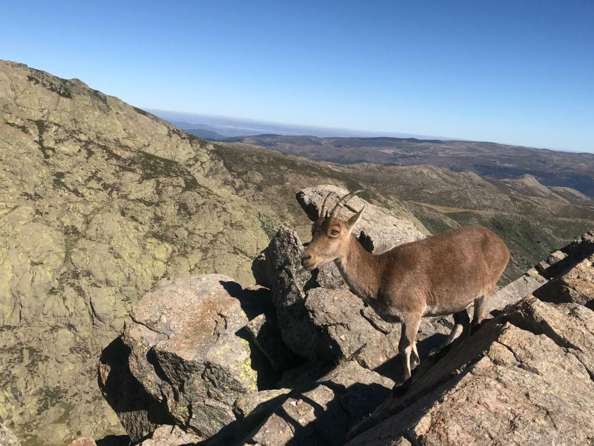 El Llano - El Hornillo, Tu Pueblo En La Sierra De Gredos.ヴィラ エクステリア 写真