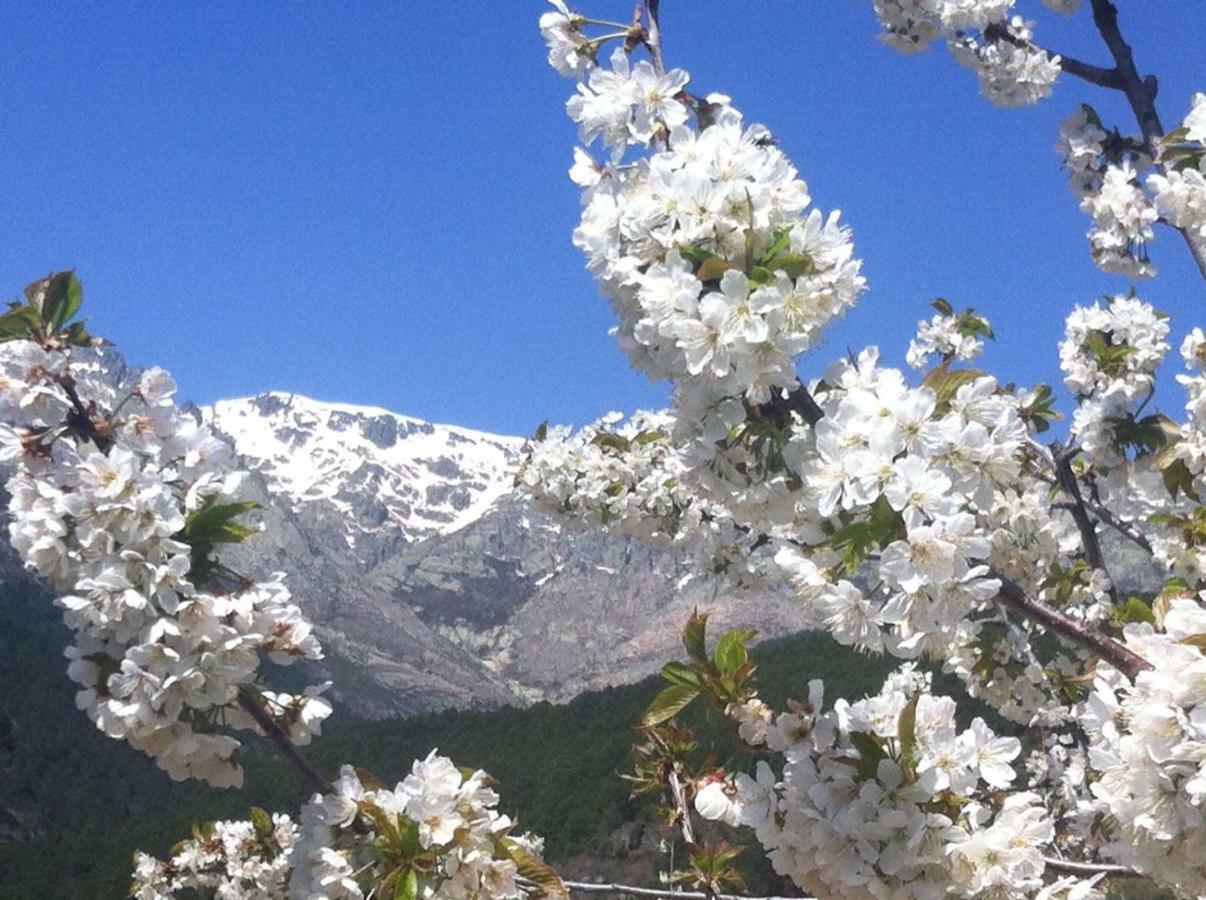 El Llano - El Hornillo, Tu Pueblo En La Sierra De Gredos.ヴィラ エクステリア 写真